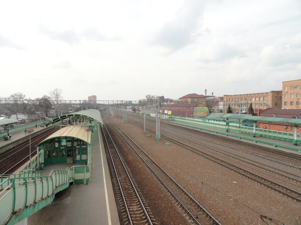 Раменское