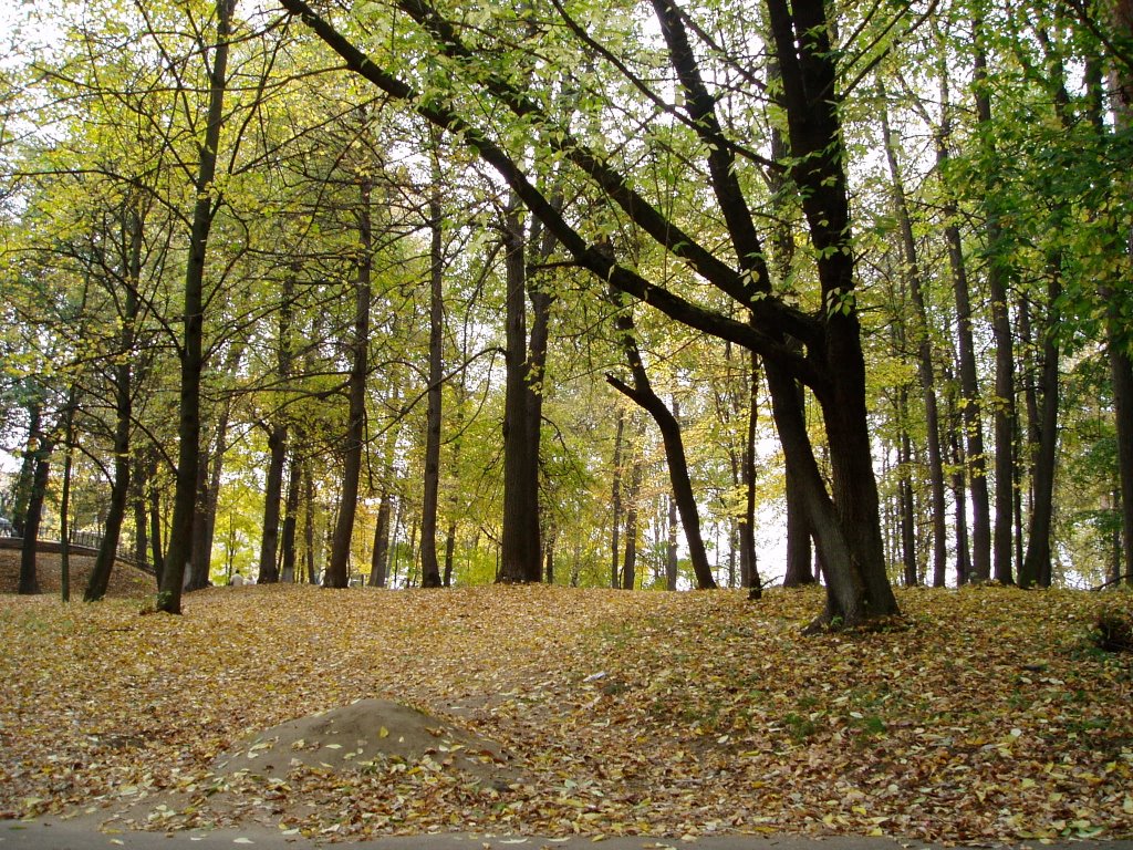 Autumn tints in Ramenskoe
