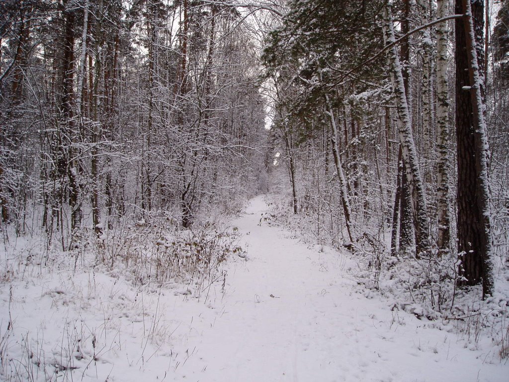 Winter in Ramenskoe