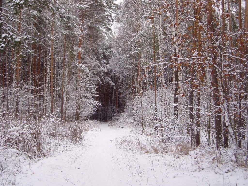 Winter in Ramenskoe