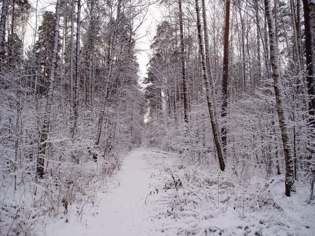 Winter in Ramenskoe