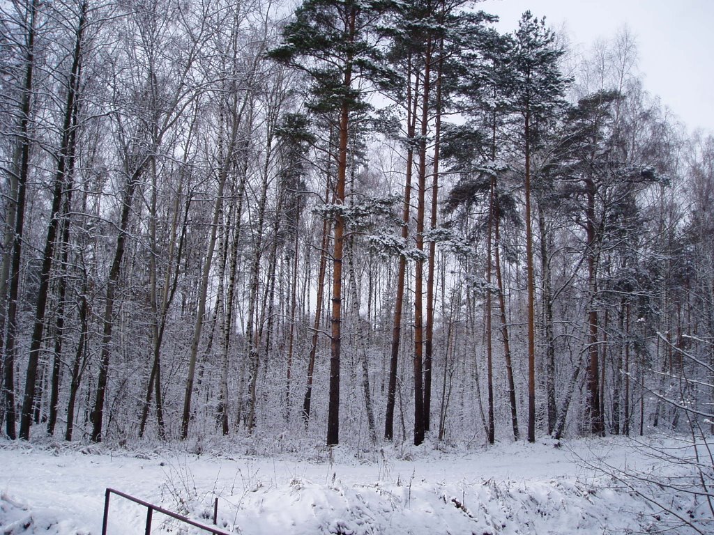 Winter in Ramenskoe