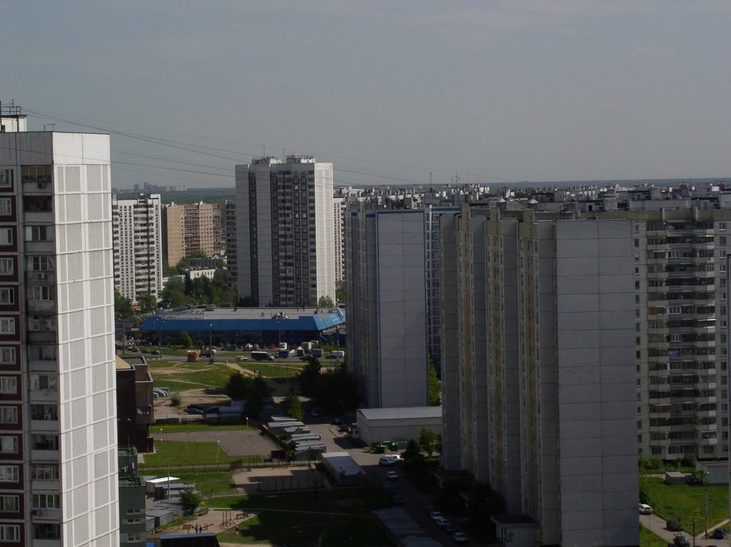 Синяя крыша Новокосинского универсама, вид из дома №14/7