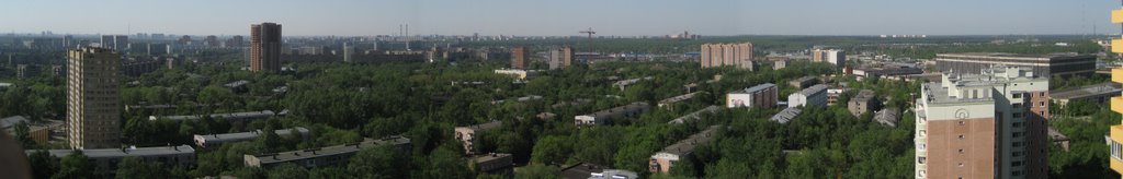 Вид на север из Реутова (с ул. Парковая)