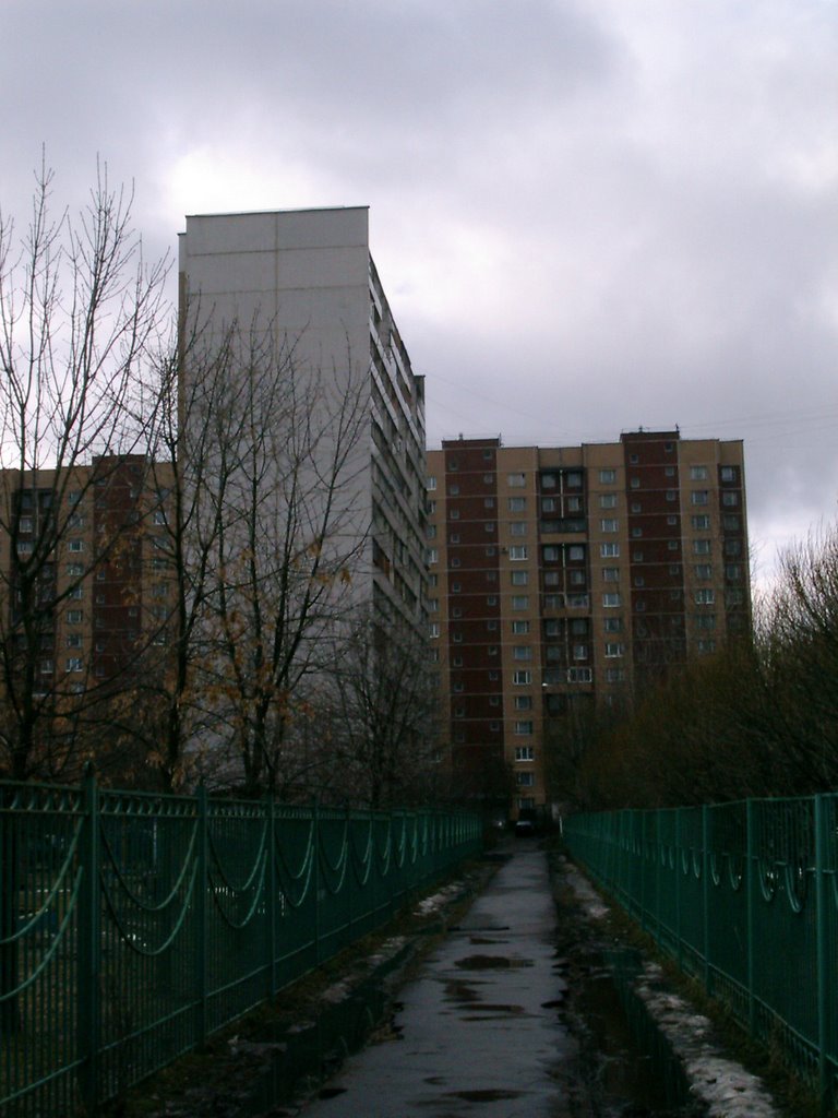 Новокосино