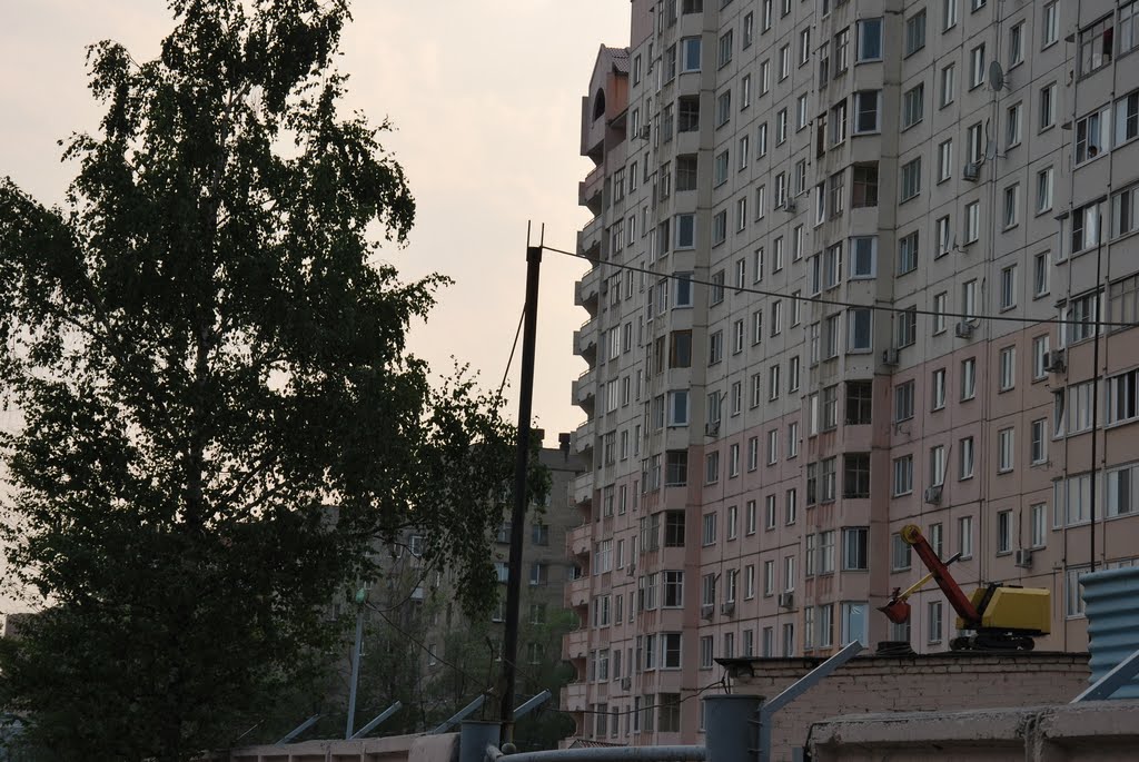 Экс в стране домов великанов.