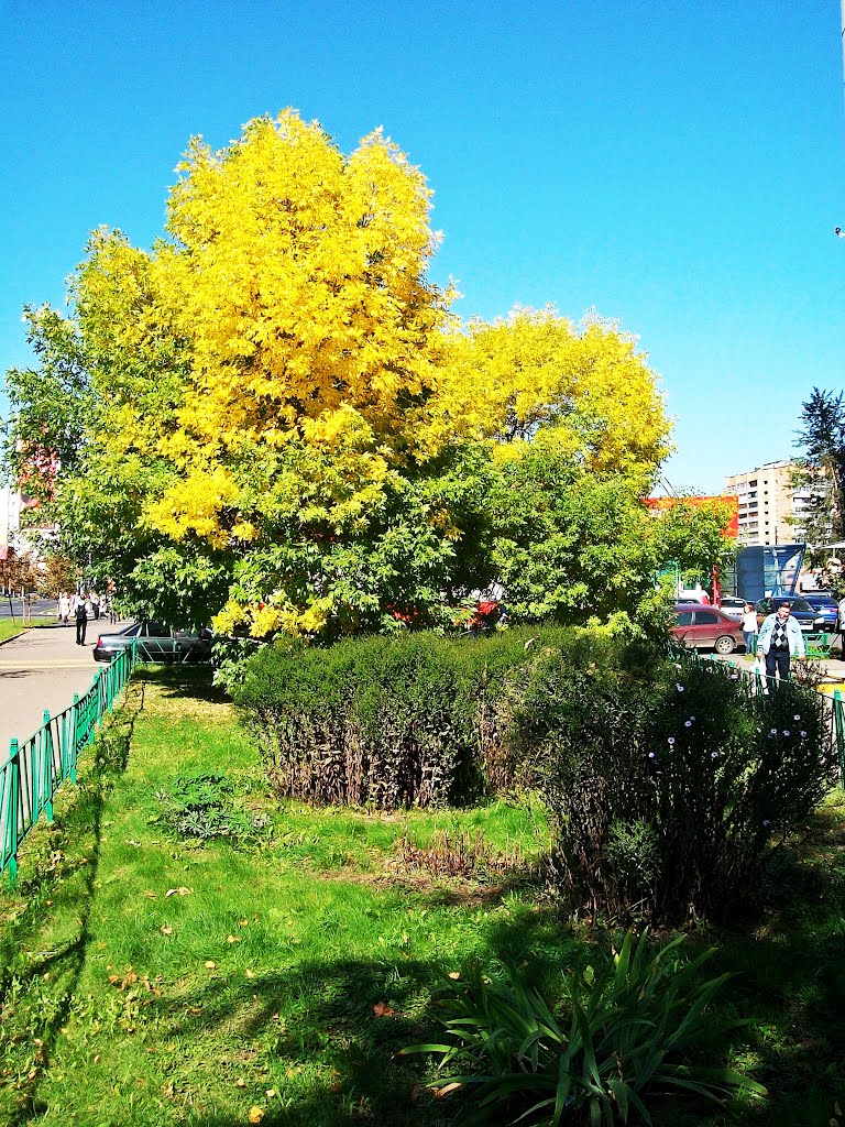 Яркие краски осени.