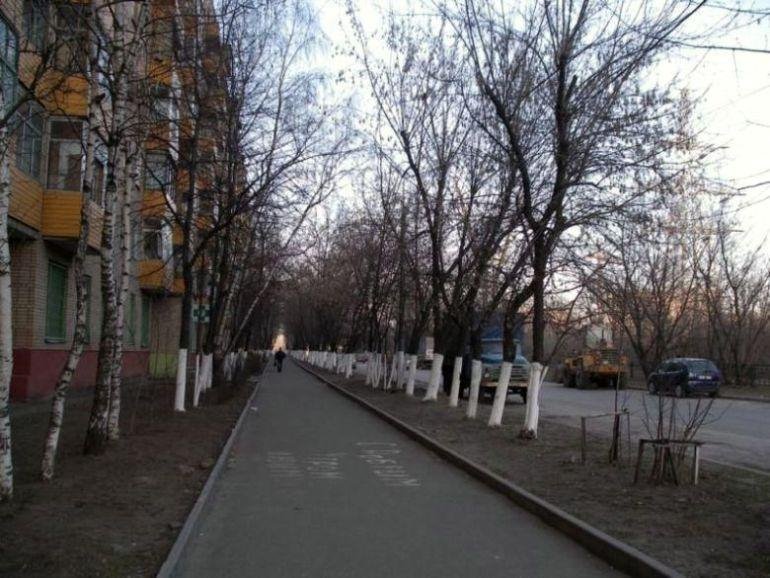 Садовый проезд. Реутов
