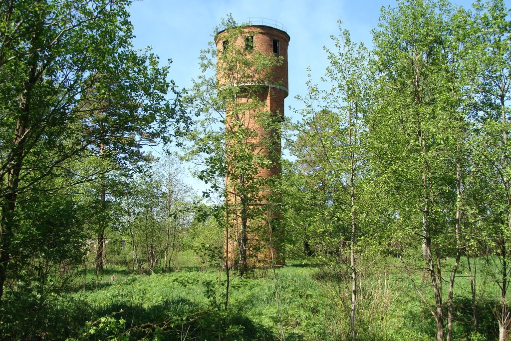 Клинский район, Московская область
