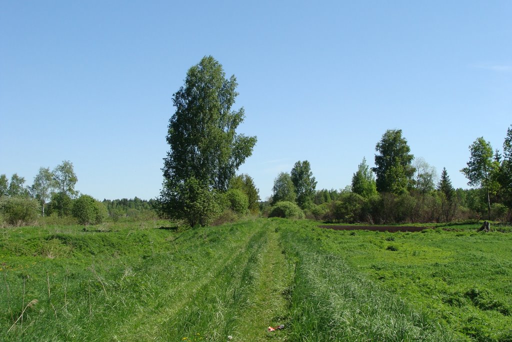 Spas-Zaulok