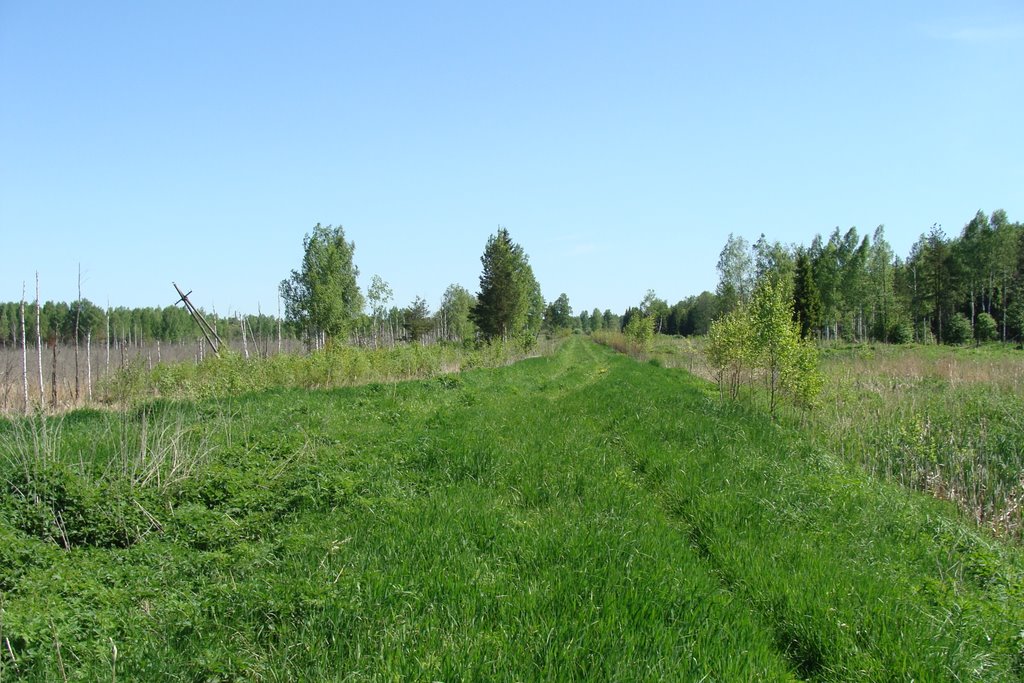 Клинский район, Московская область