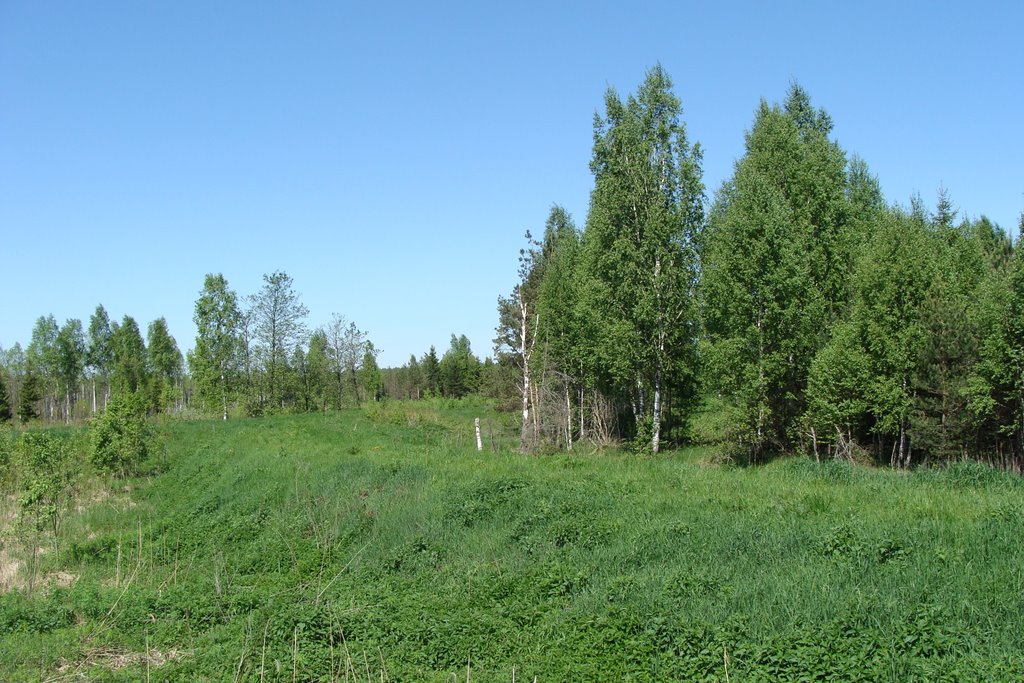 Клинский район, Московская область