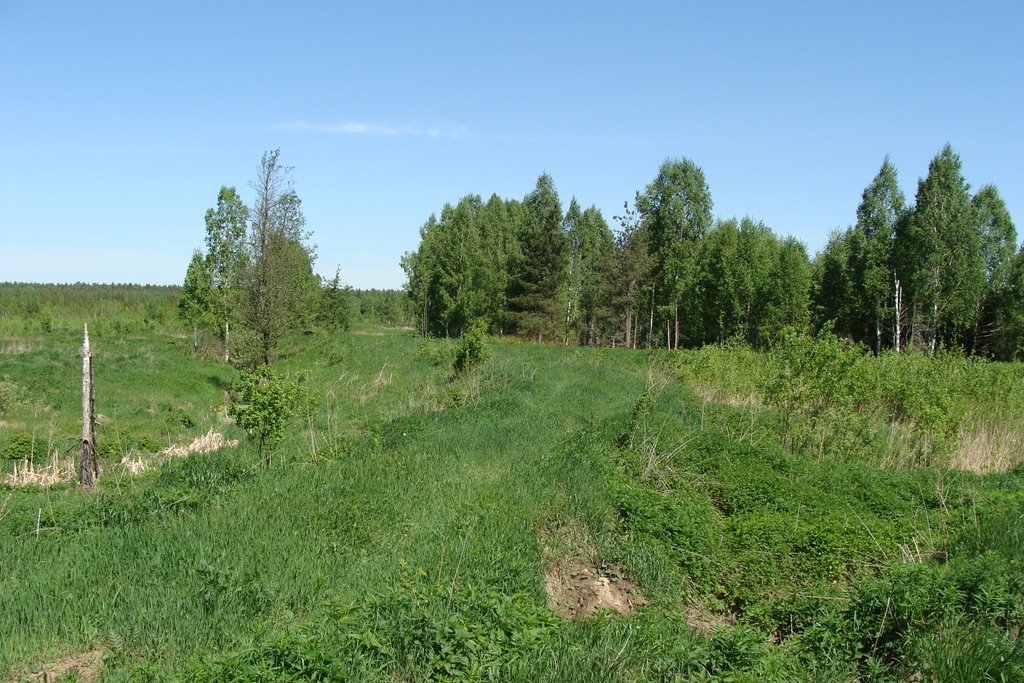 Клинский район, Московская область