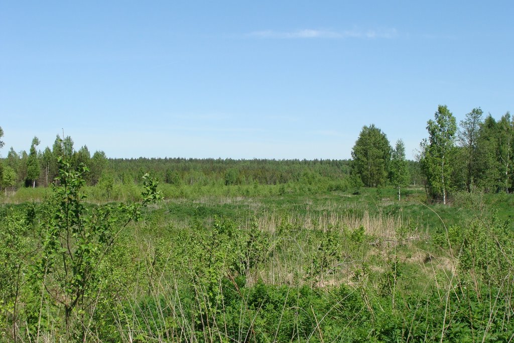 Клинский район, Московская область