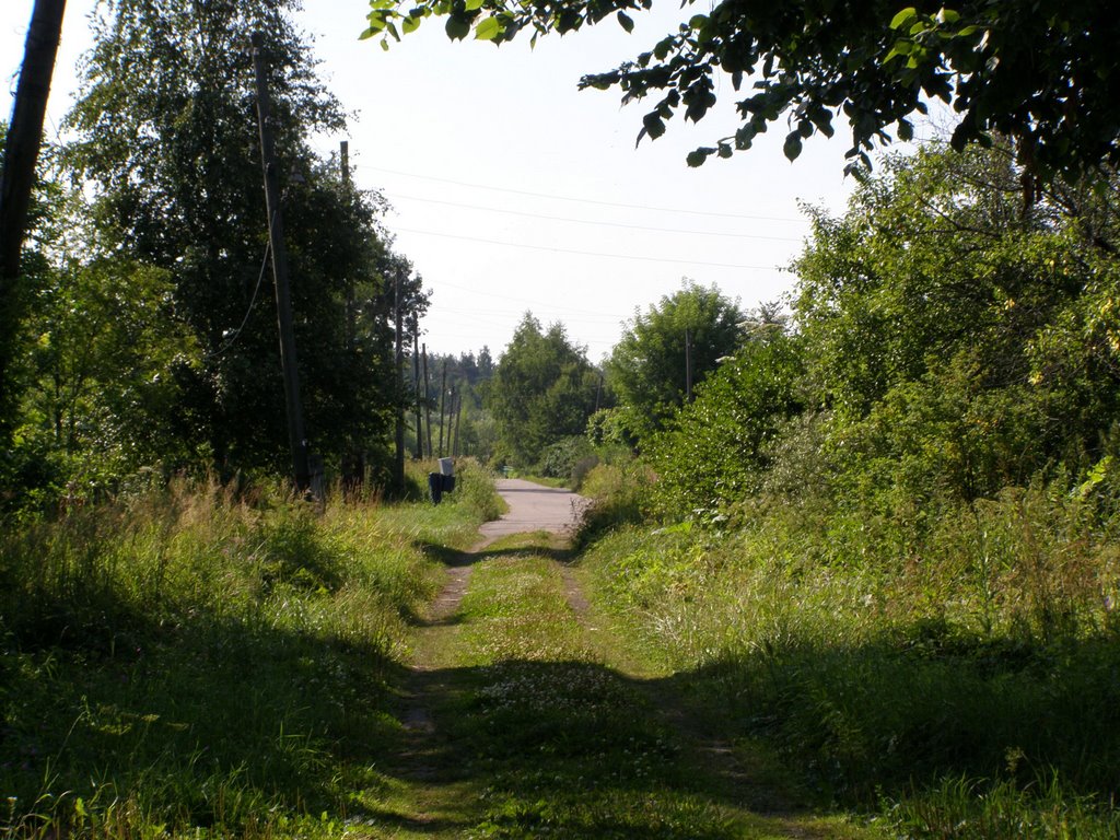 Решетниково, улица