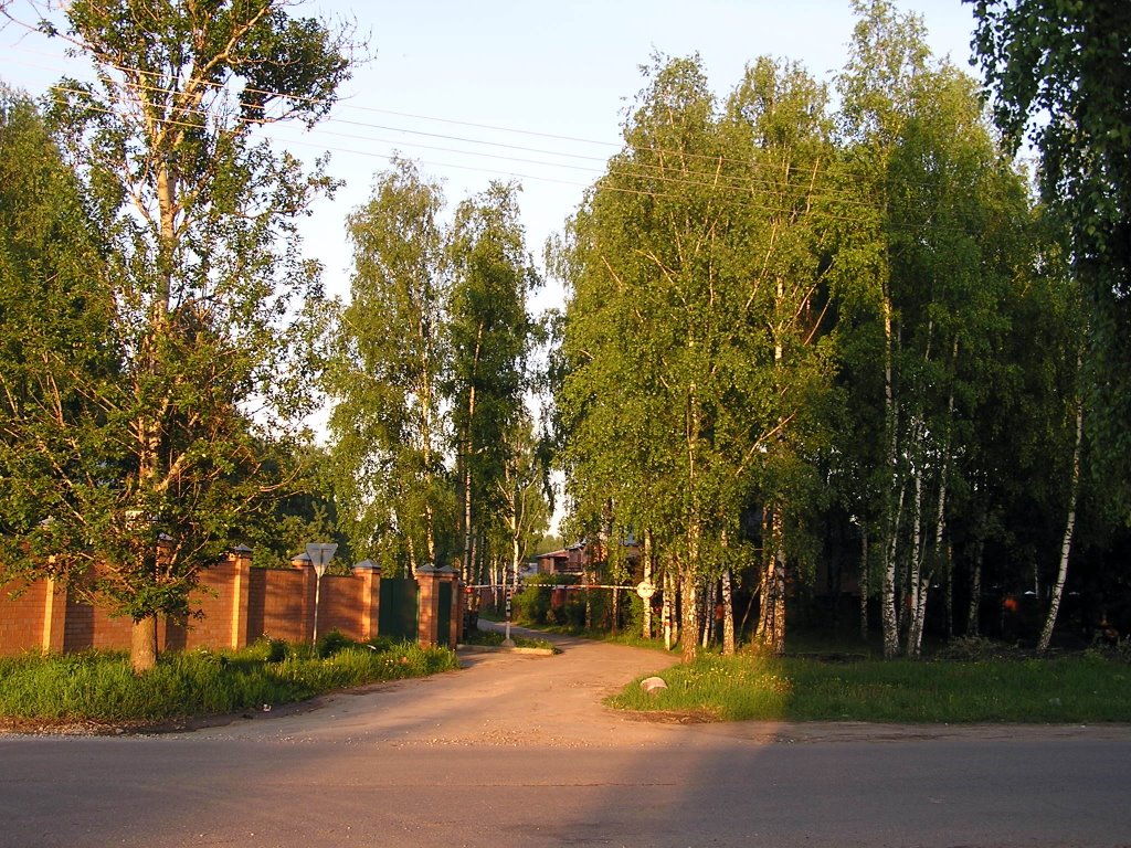 Московская область, Поселок «Родники»