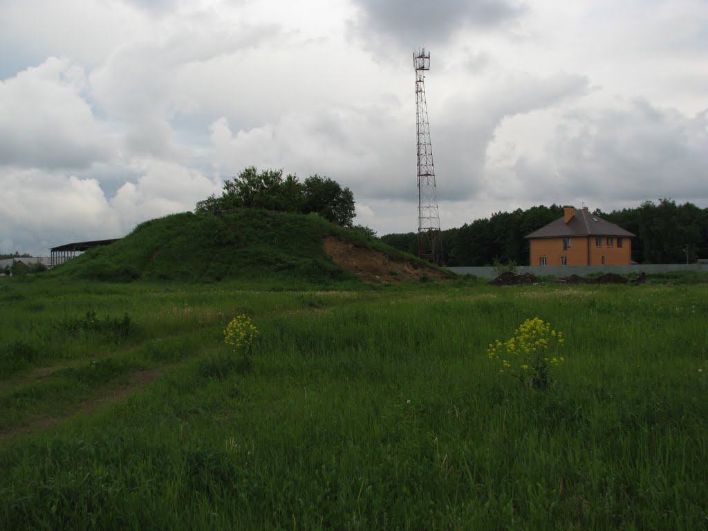 Родники