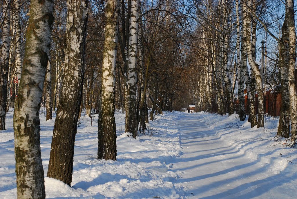 Февраль 2009. Б.учительская
