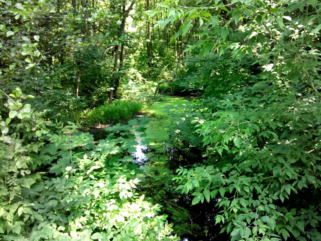 р. Македонка (The Makedonka river)