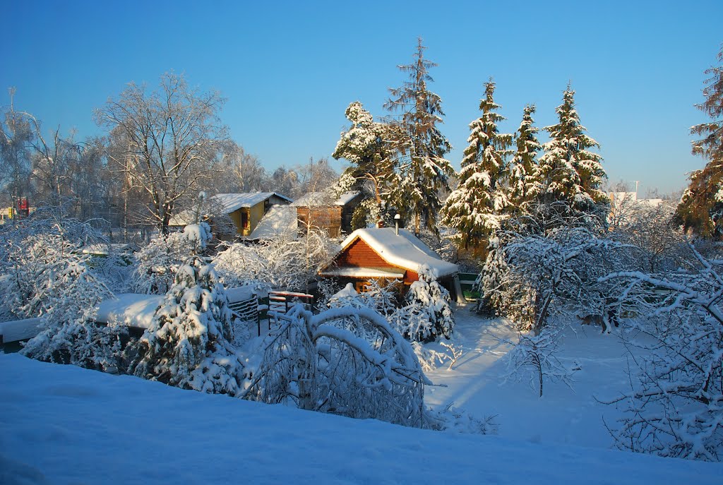 Родники