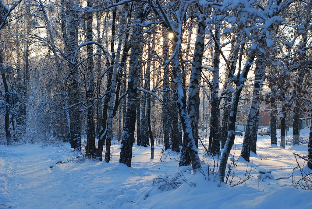 Родники