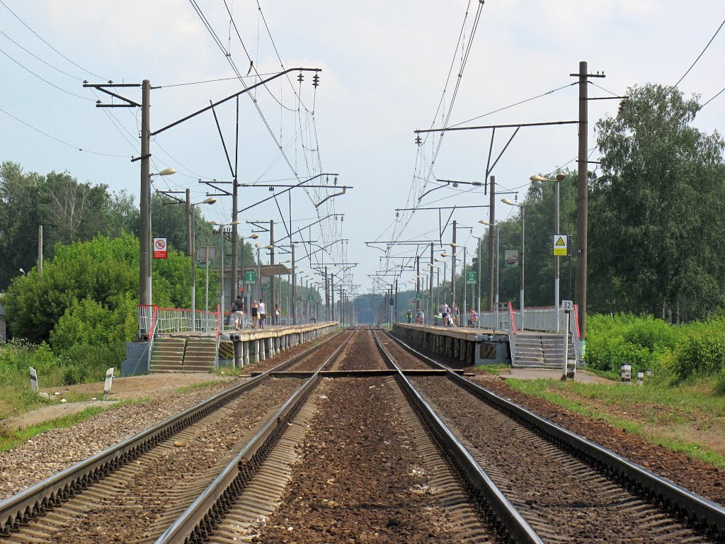 На Муром (км 32/33). Платформа Родники
