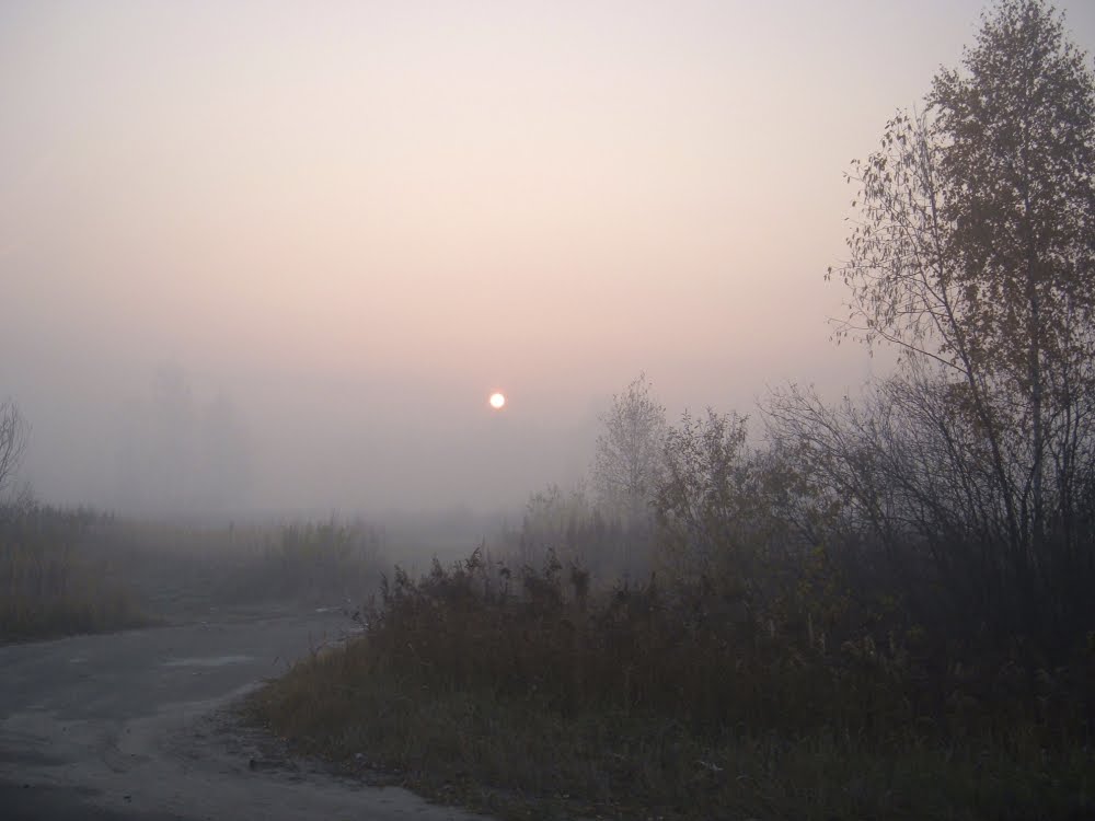 Дымное утро