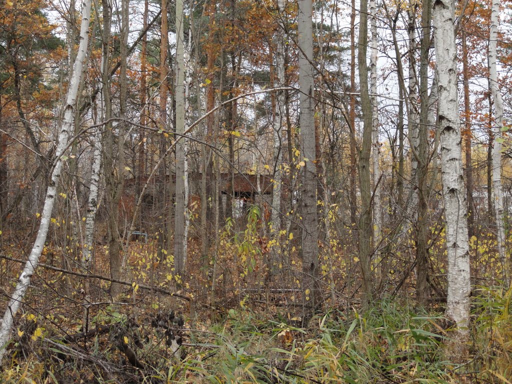 Рошаль