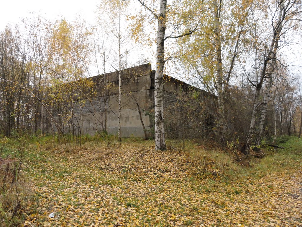 Рошаль