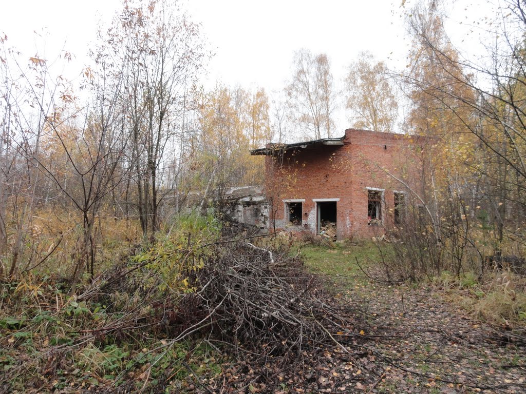 Рошаль
