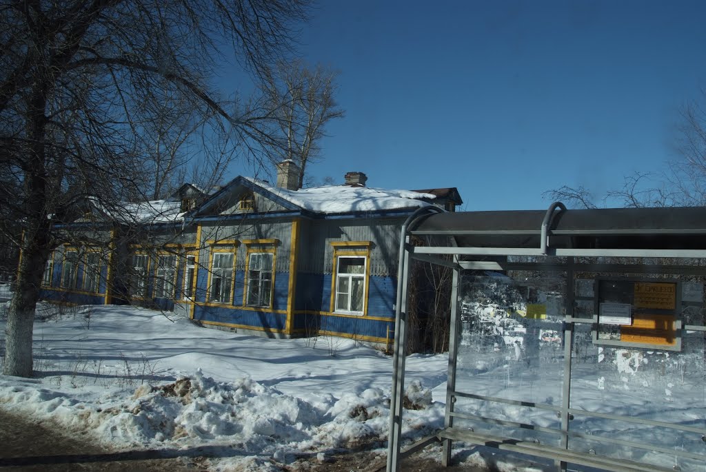 Рошаль. избушка
