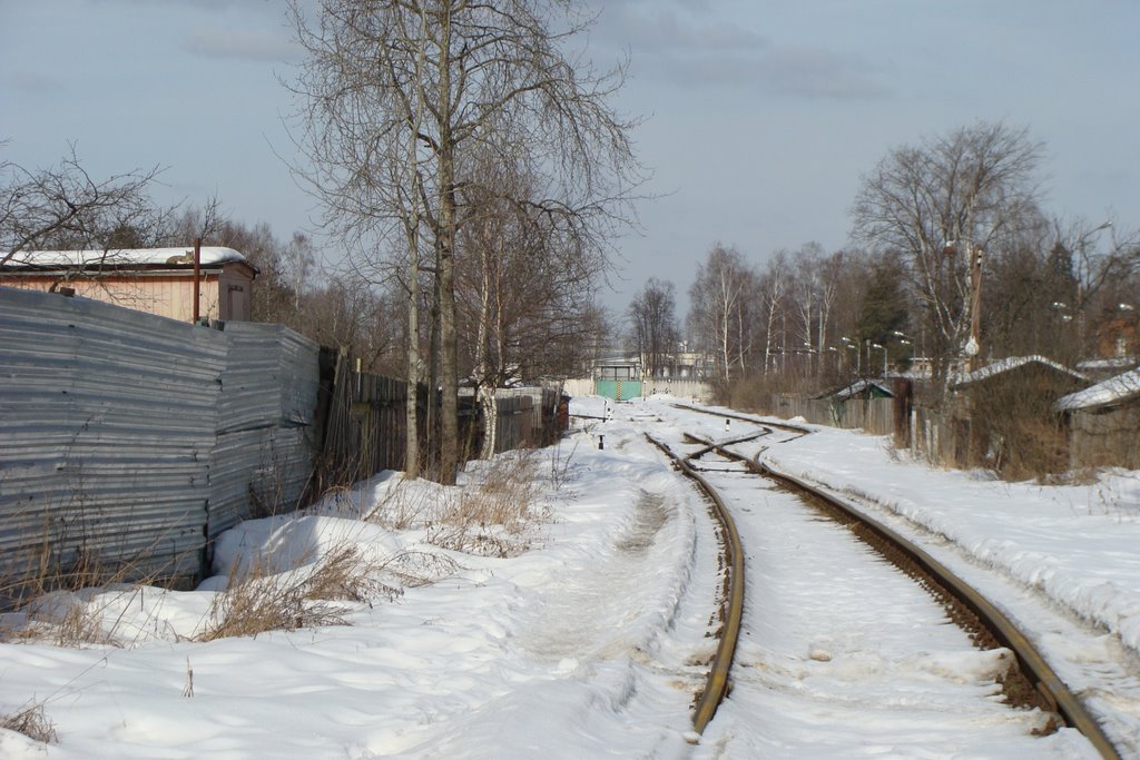 район Кунцево