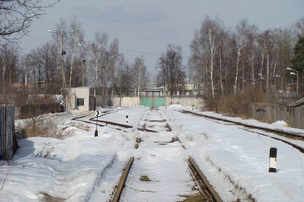 район Кунцево