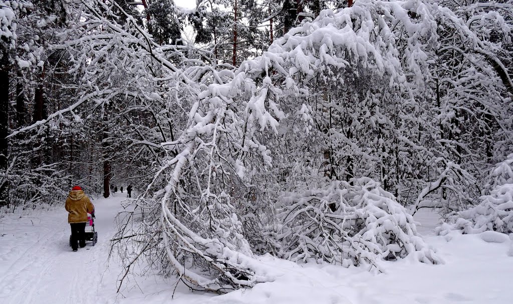 After snowstorm...