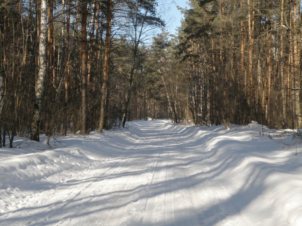 Зимняя дорога. Winter road