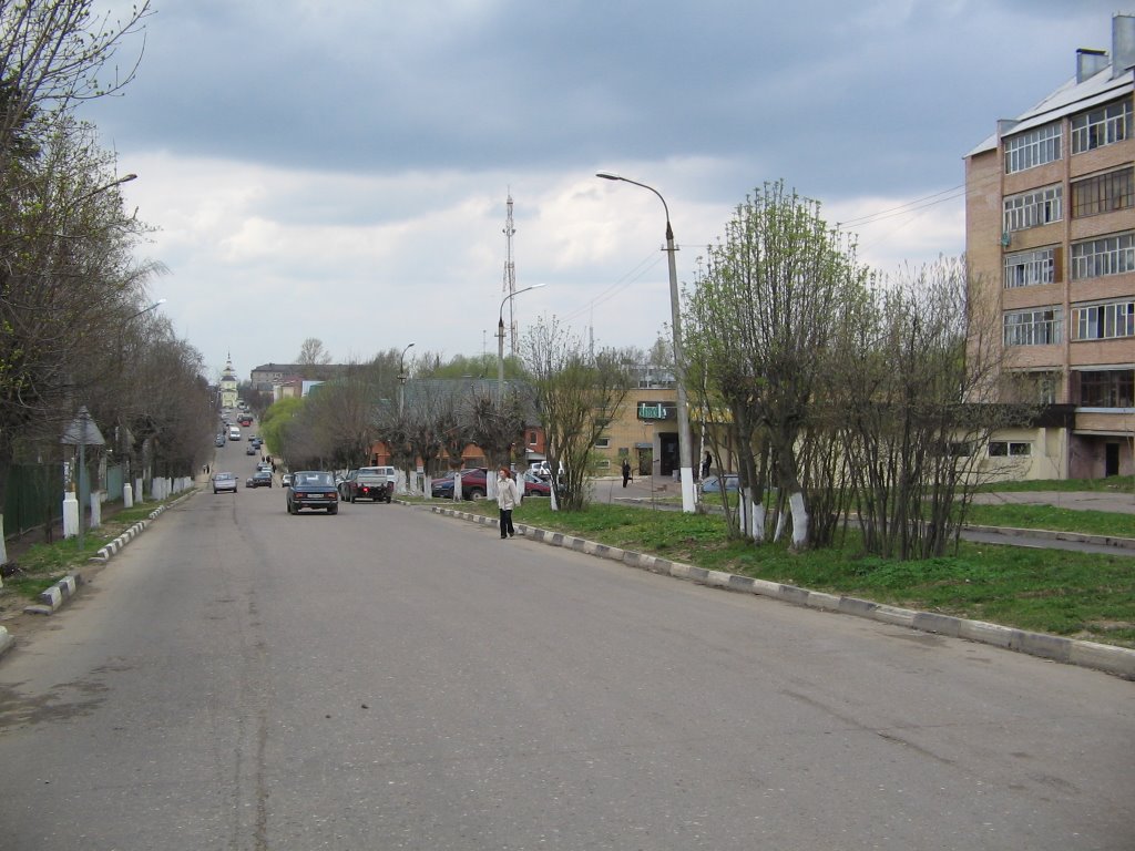 Социалистическая улица (Вид на запад) / Socialisticheskaya Street (View on West)