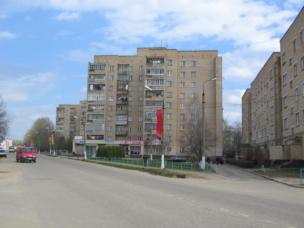 Федеративная улица / Federativnaya Street