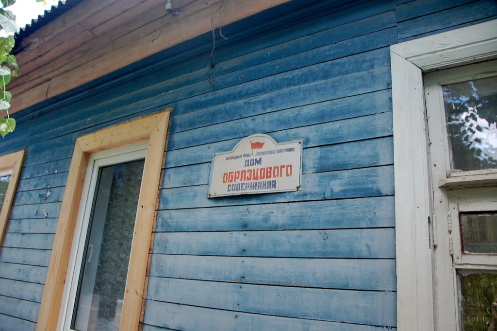 Руза. Образцовый дом