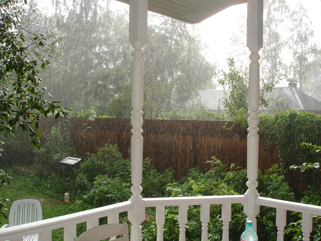 Tropic rain at Saltikovka