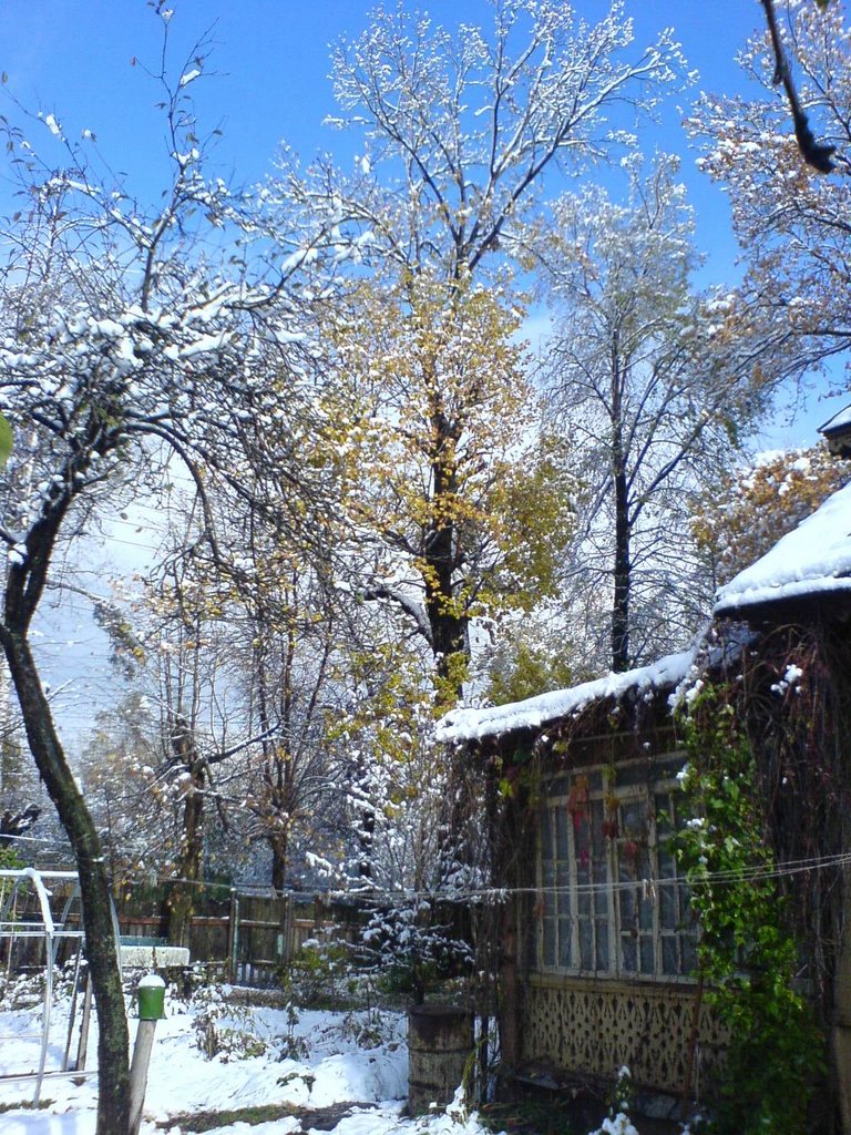 Ранний снег