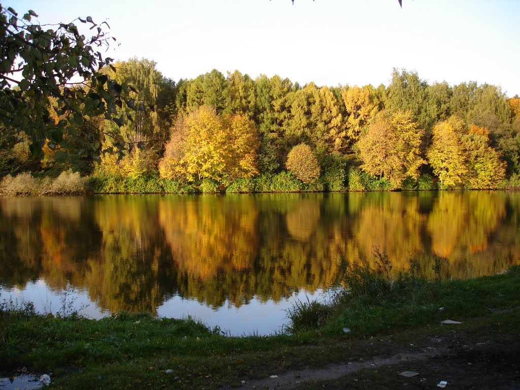 Озеро жёлтое