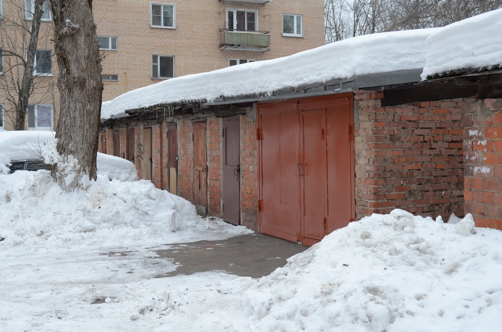 Сараи в Кучино