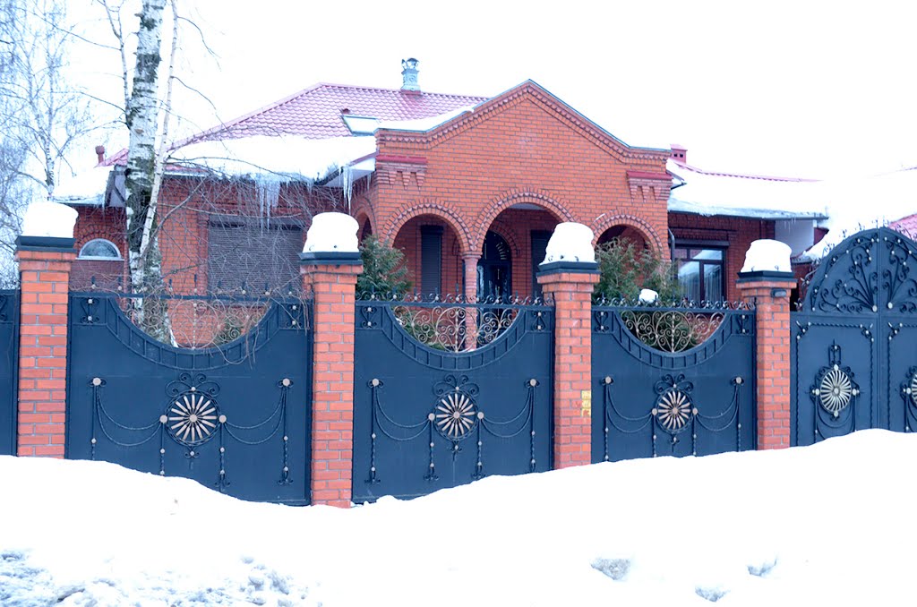 Институтская улица