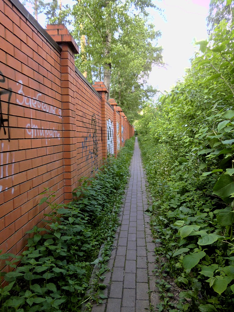 Забор