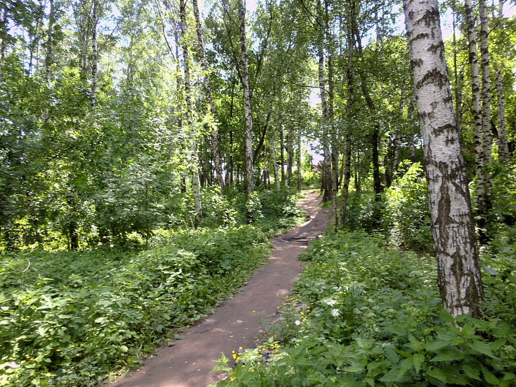 Тропинка