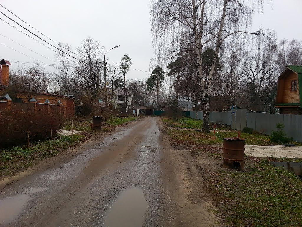 Zheleznodorozhnyy