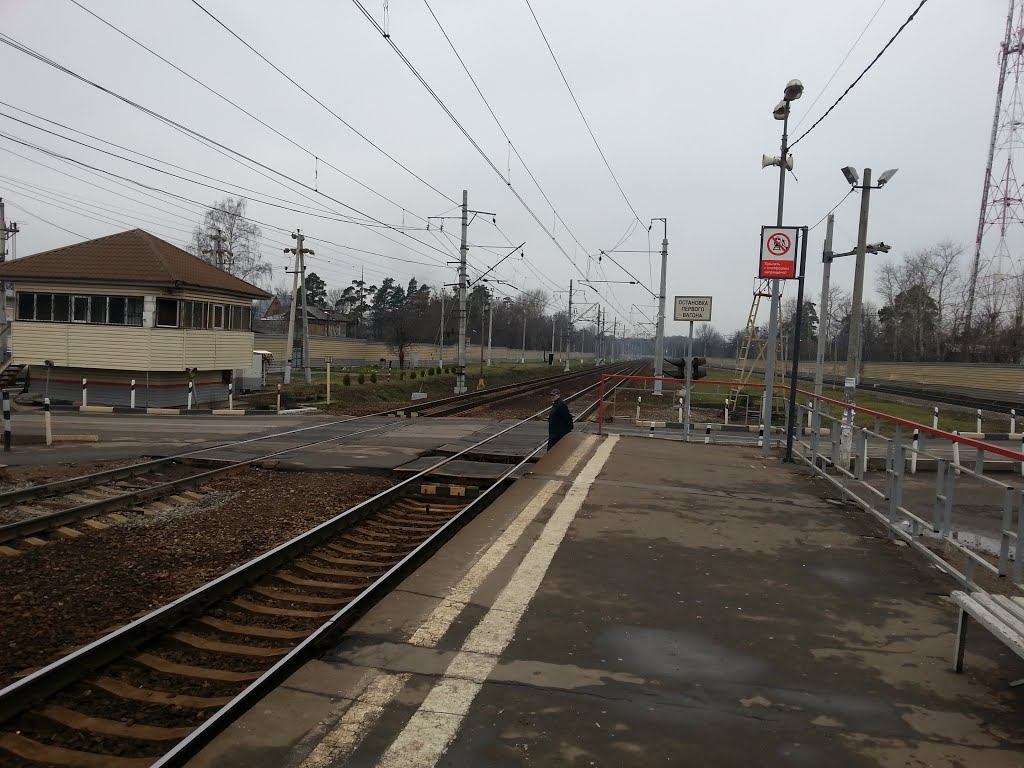 Салтыковка
