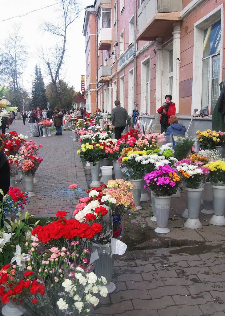 Флора