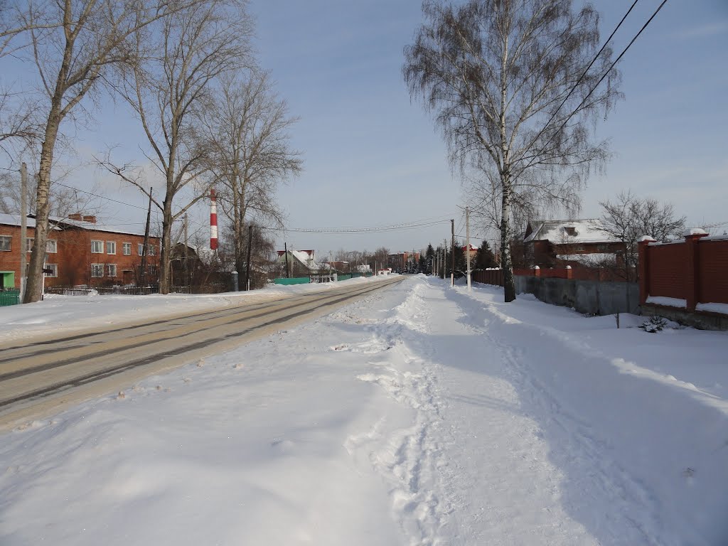 Серебряные Пруды