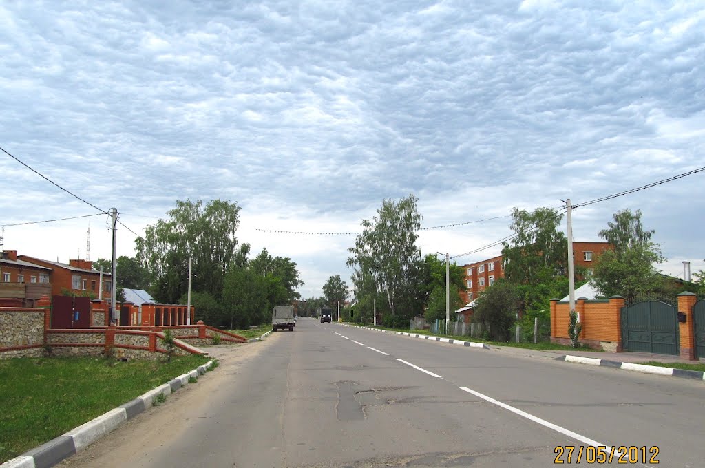 Mekhanizatorov St., Serebryanyye Prudy